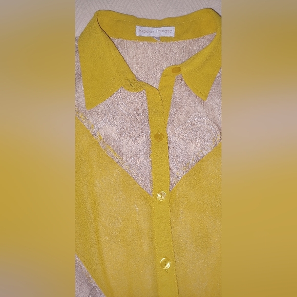 Jealous Tomato S Yellow Cream Lace Panels Hi-lo Button Slvls Collar Sheer Blouse - Picture 14 of 16